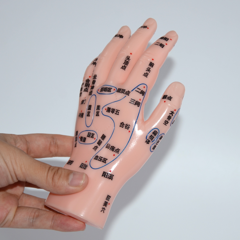 善易器械店 超清晰软质刻字版手部按摩反射区穴位模型手模左手掌背