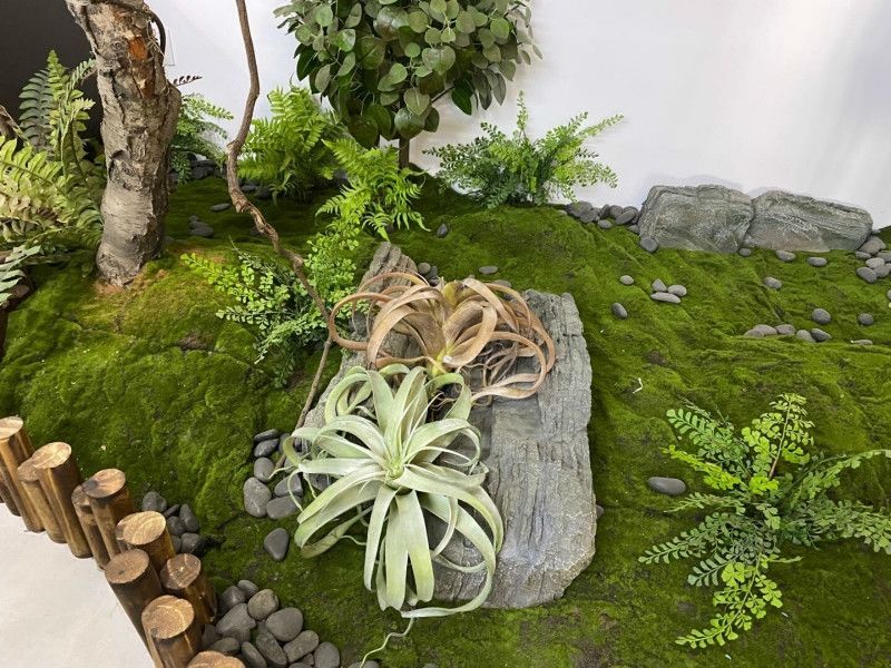 现货直发仿真绿植墙青苔藓草皮仿真青苔草坪盆景草坪绿植场景橱窗假