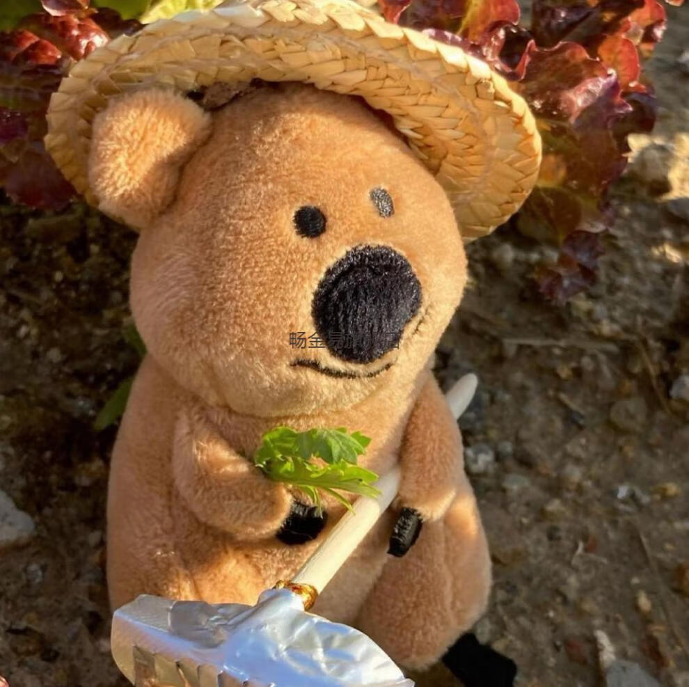 柿子椒熊假发韩国代购dinotaeng可爱袋鼠quokka柿子椒熊包挂件圣诞节