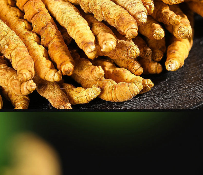 2021正宗冬虫夏草冬虫草虫草王滋补甘孜非那曲虫草精选礼盒虫草王级别