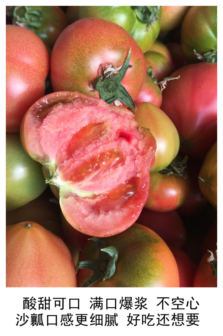 草莓柿子大连旅顺特产自然熟孕妇生吃水果绿腚西红柿碱地铁皮柿子3斤