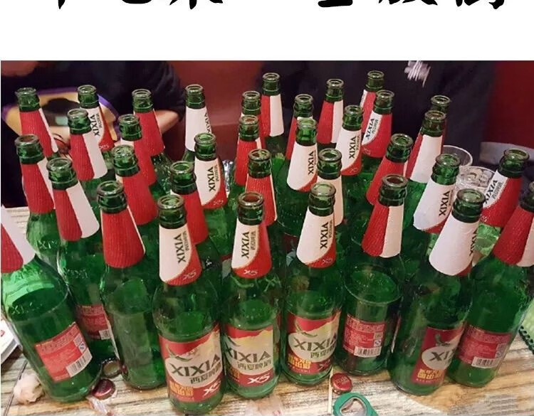 宁夏西夏啤酒 x5大红瓶 6瓶装【图片 价格 品牌 报价】-京东