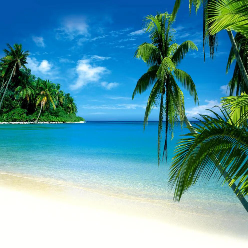 极惠家 大海背景布 大海沙滩蓝天白云海边椰树风景主播拍视频段子直播