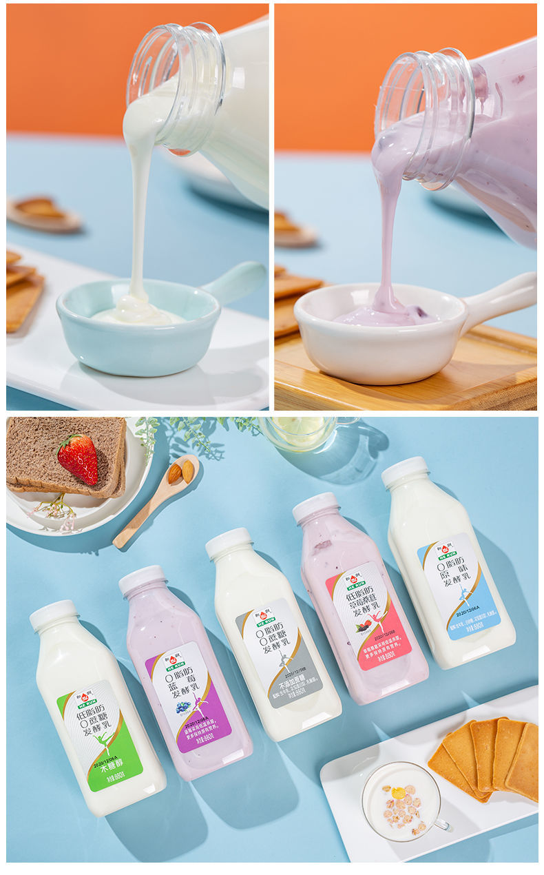 和润零脂肪无蔗糖酸奶无剂酸牛奶发酵乳低温低脂健身食品880g口味混搭