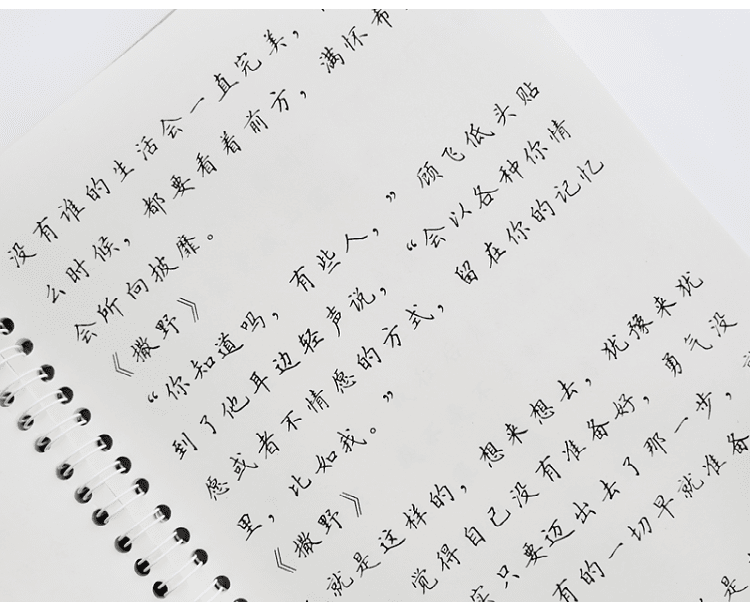 鲸落体原耽女孩经典语录练字帖耽美小说女生情书体奶酪陷阱体行书灰色