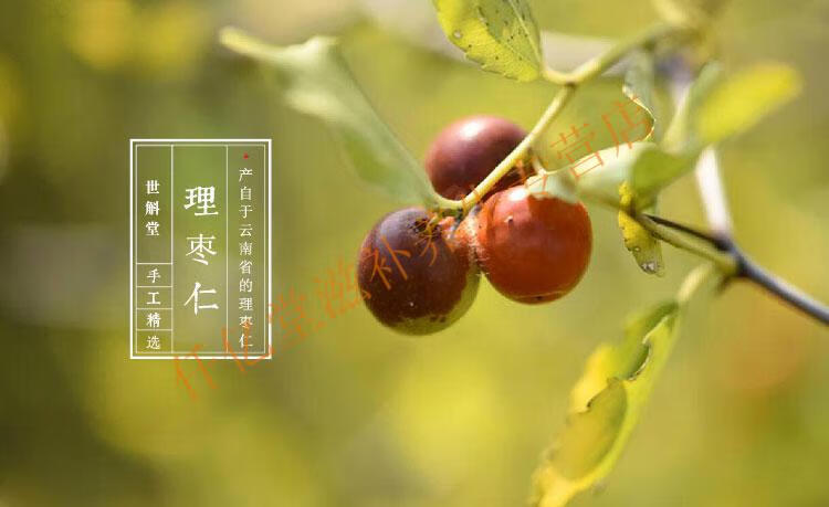 白籽去皮侧佰百仁搭配新货酸枣仁栢仔实理枣仁500克1斤可打粉泡茶柏子