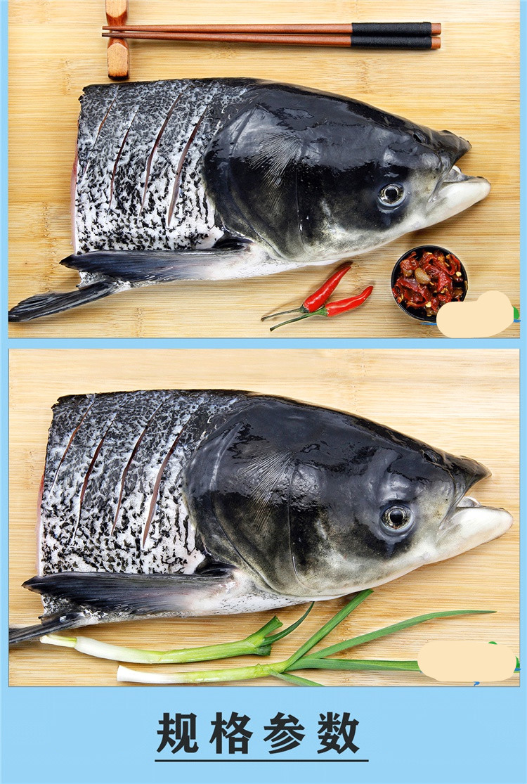 千岛湖大鱼头新鲜胖头鱼鳙鱼花鲢大头鱼包头鱼鲜活食用水产4斤鱼头一