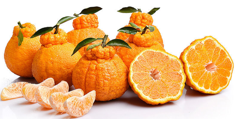 【今年新果】现货澳洲丑橘粑粑柑大果鲜嫩多汁甜酸比好味道浓郁丑柑