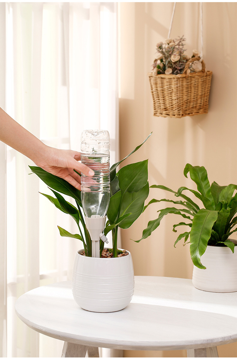 spsauce自动滴水器浇花神器懒人家用绿植渗水器滴灌出差浇水器6个装