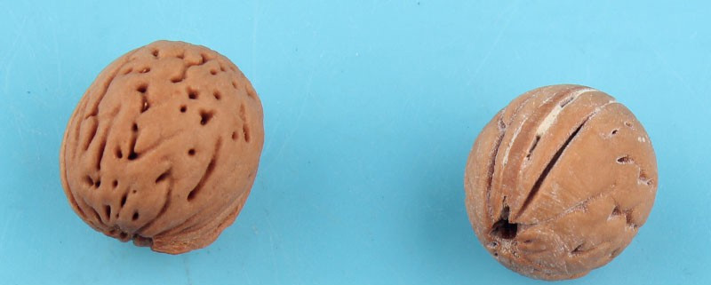 听筠 文玩桃核打磨抛光工具 窝珠磨头修圆器窝珠器套装桃核手串抛光器