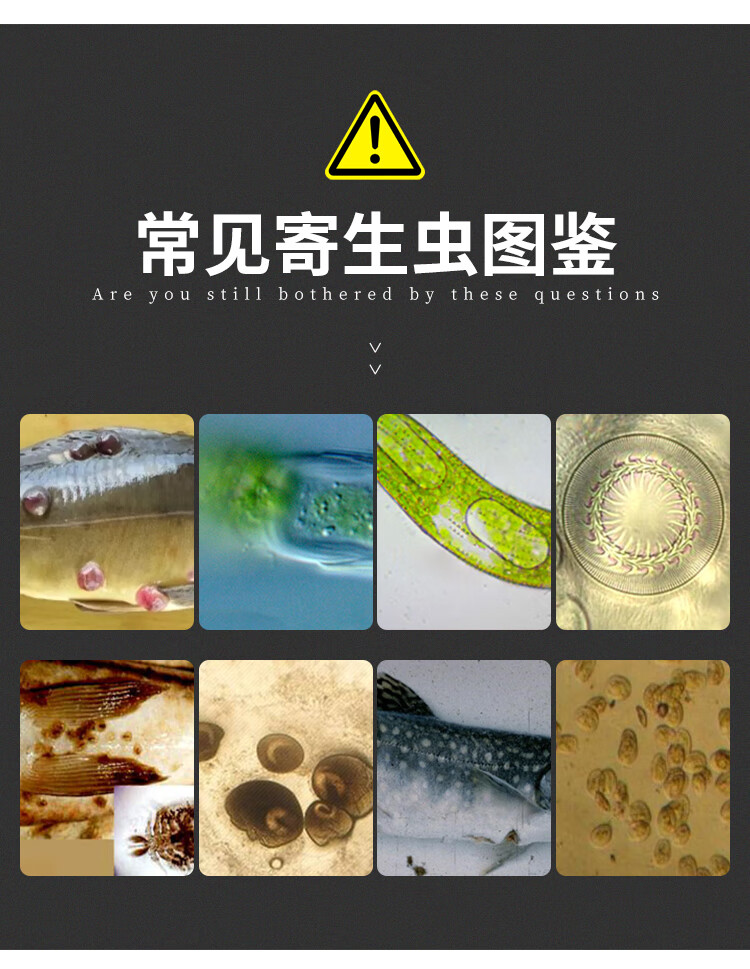 阿维菌素鱼塘水产养殖专用杀虫药指环虫车轮虫小瓜虫鱼药杀虫驱虫100