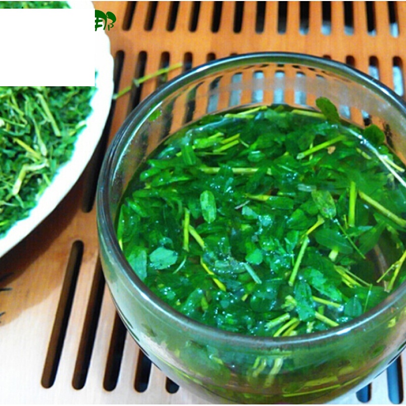 相思藤茶 相思茶广西灵山特产茶叶 绿茶500g**【图片 价格 品牌 报价