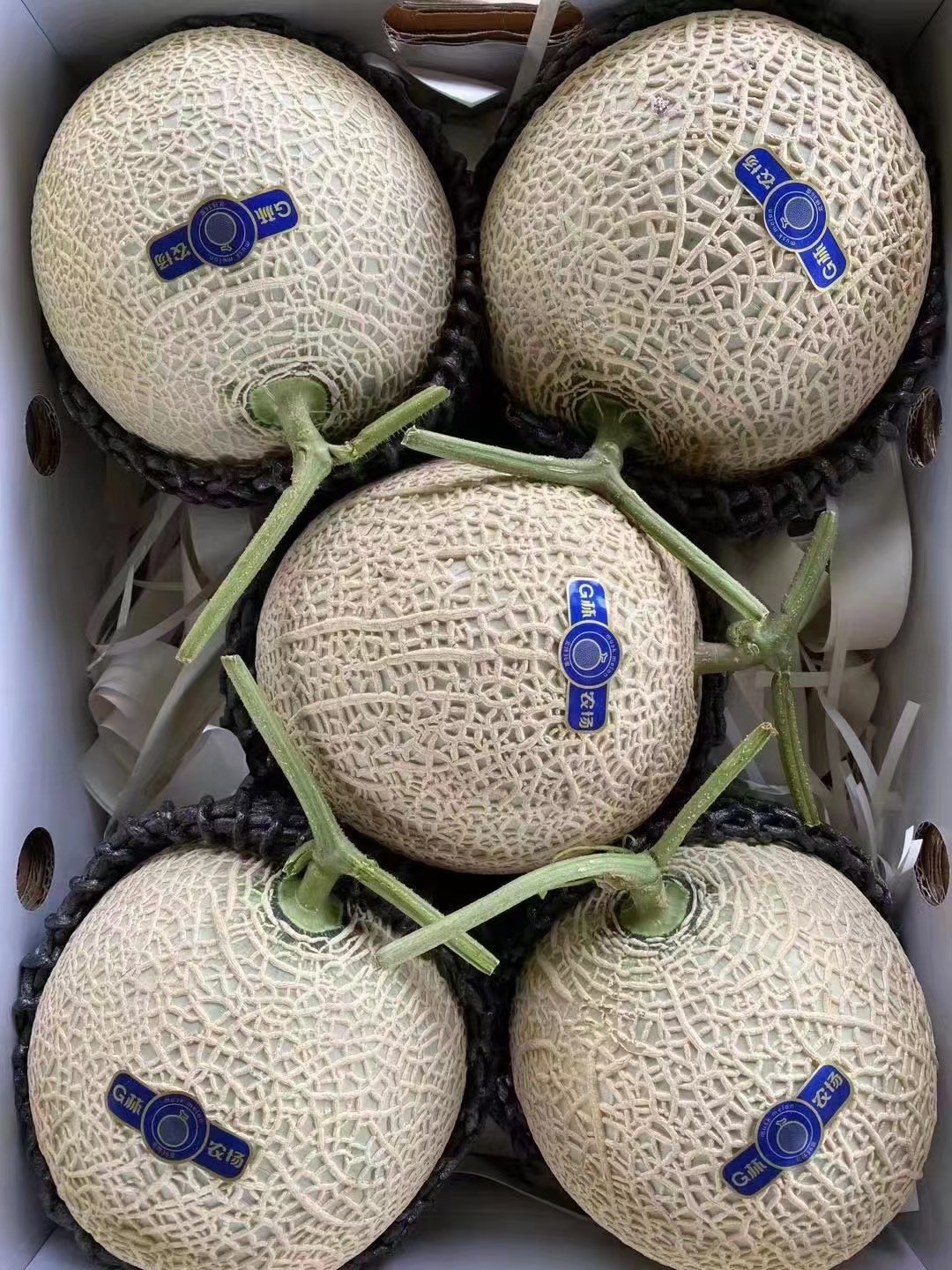 【jd物流】日本品种静冈网纹蜜瓜新鲜哈蜜瓜国内种植新品可口蜜 4个