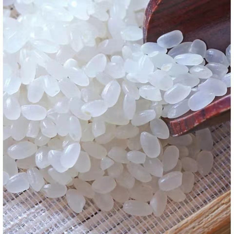 【】黑龙江现磨宁安响水石板大米5斤10斤 龙稻20真空装10斤【图片