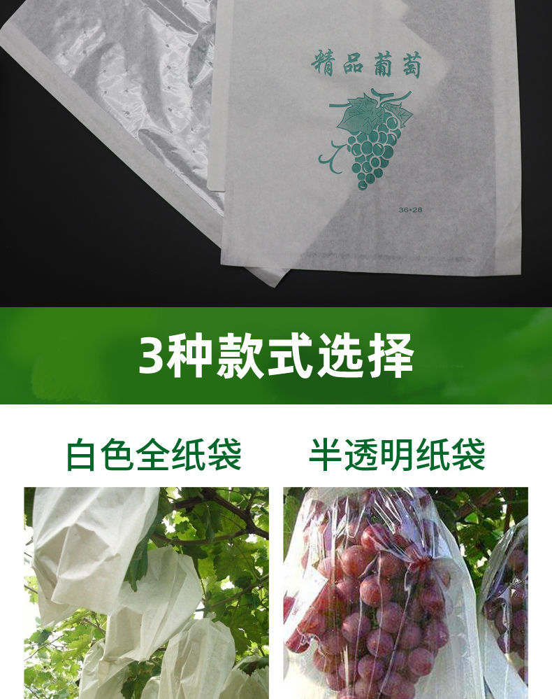 琛艺葡萄袋套袋果袋袋子专用纸袋水果袋防雨水虫莲雾水果袋透气葡萄袋
