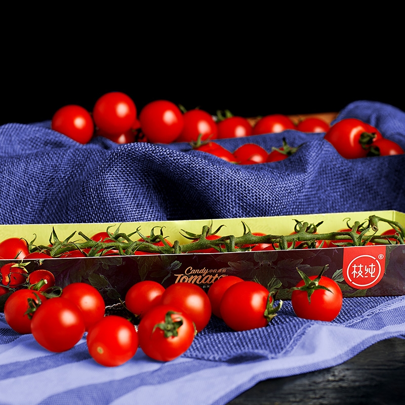 枝纯串收小番茄糖果番茄温室现摘生吃西红柿脆甜圣女果健康轻食5盒