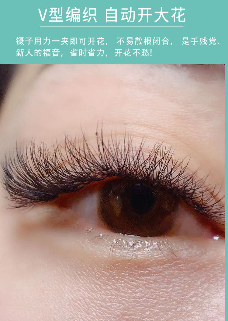 自动开花嫁接睫毛双笙花美睫软超水貂毛浓密鸢尾古莎11mmc翘度性感翘