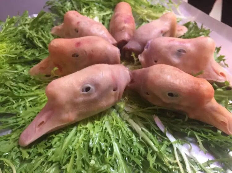 装大鹅头黑龙江特产新鲜冷冻东北农家散养老鹅头1000g