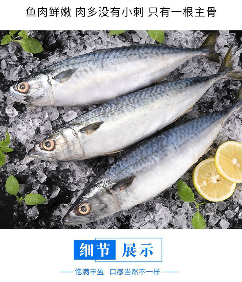 鲐鱼新鲜鲐鲅鱼青占鱼青花鱼海捕新鲜青花鱼海鲜水产罗菲迪新10斤装