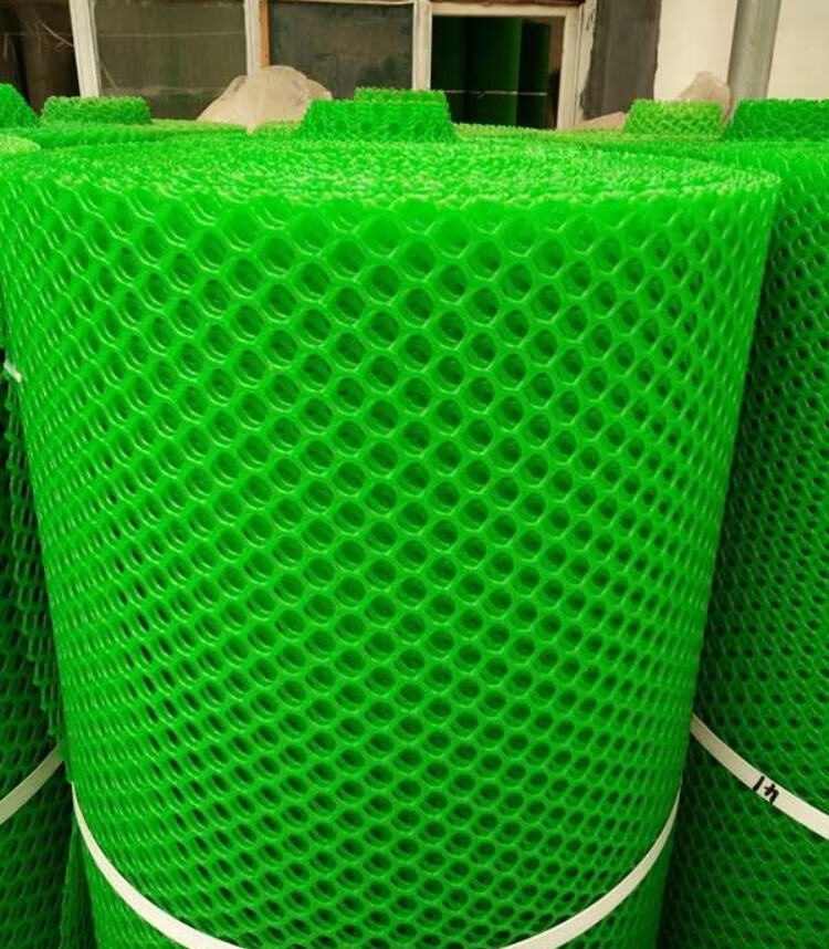 网鹅围养护栏拦网养殖围菜园子的网塑料方格防护网 绿色1米宽5米长(1