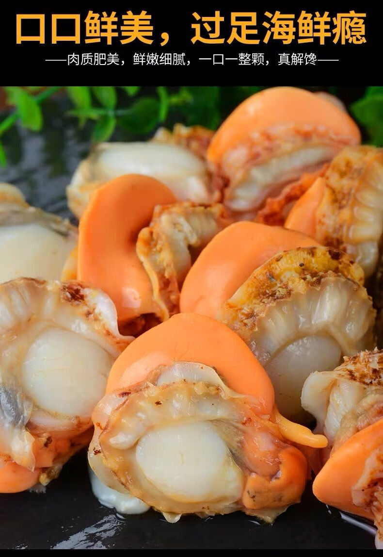 现剥特大号扇贝肉新鲜栉孔贝个大黄多真空包装鲜活扇贝肉即食康如四云
