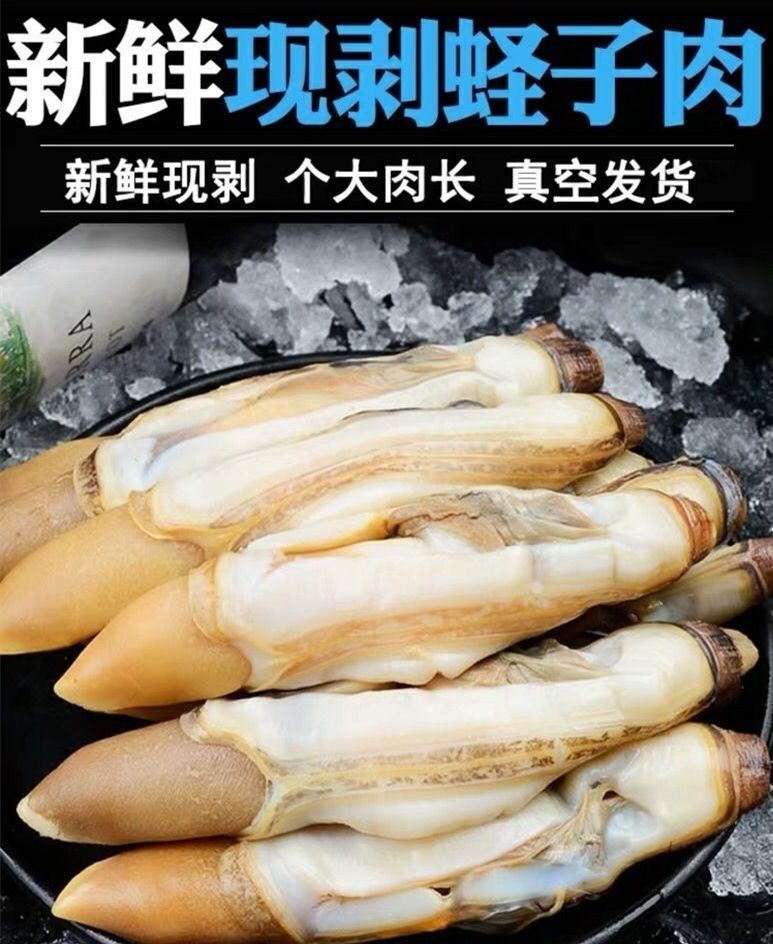 顺鑫贝 新鲜蛏王肉竹蛏肉蛏子肉现剥手指蛏肉鲜活冷冻大饱满无冰衣