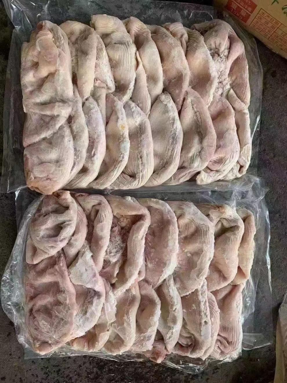 冷冻新鲜猪肚全干去油无注水生猪大肚子食堂煲汤猪肚鸡 20斤纯干猪肚