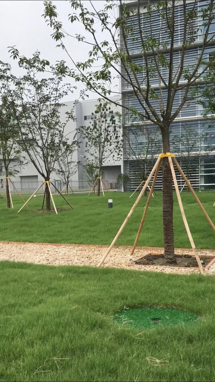 树木支架固定器套杯绑带木支撑园林支架木棍支撑杆三脚架园艺资材 3