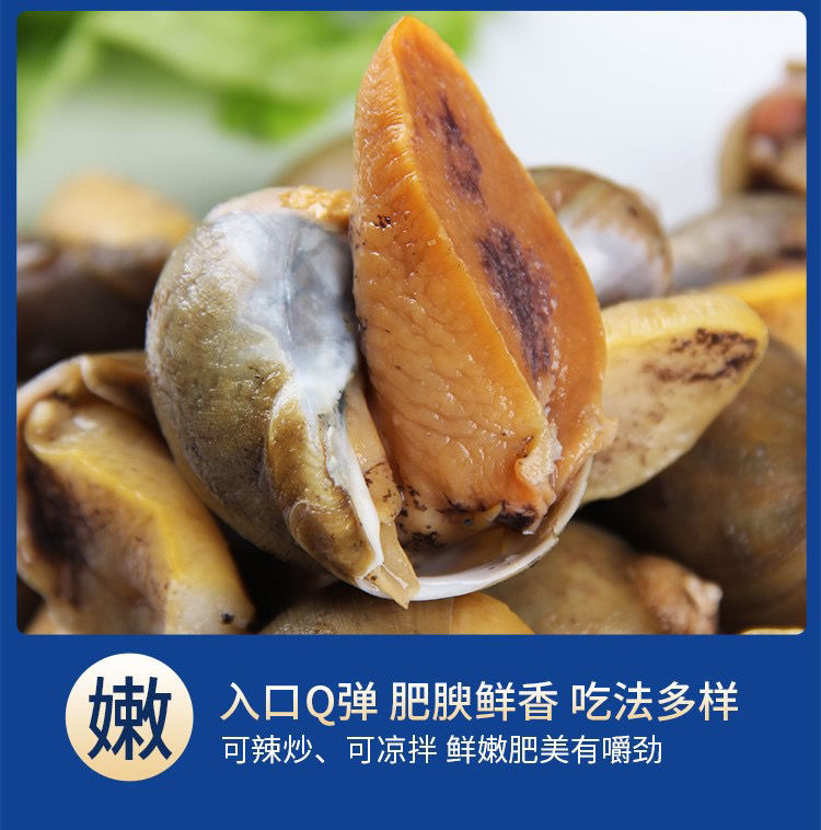 鲍鱼螺鲍螺满黄老婆脚海蜗牛大号网红新鲜活冻海螺肉新鲜珍珠鲍坏单