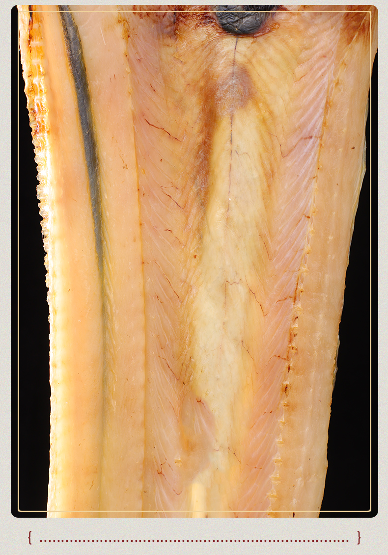 鳗鱼干整条海鲜水产干货新淡晒自制海鲡鳗鱼咸鱼干风干鱼舟山特产大