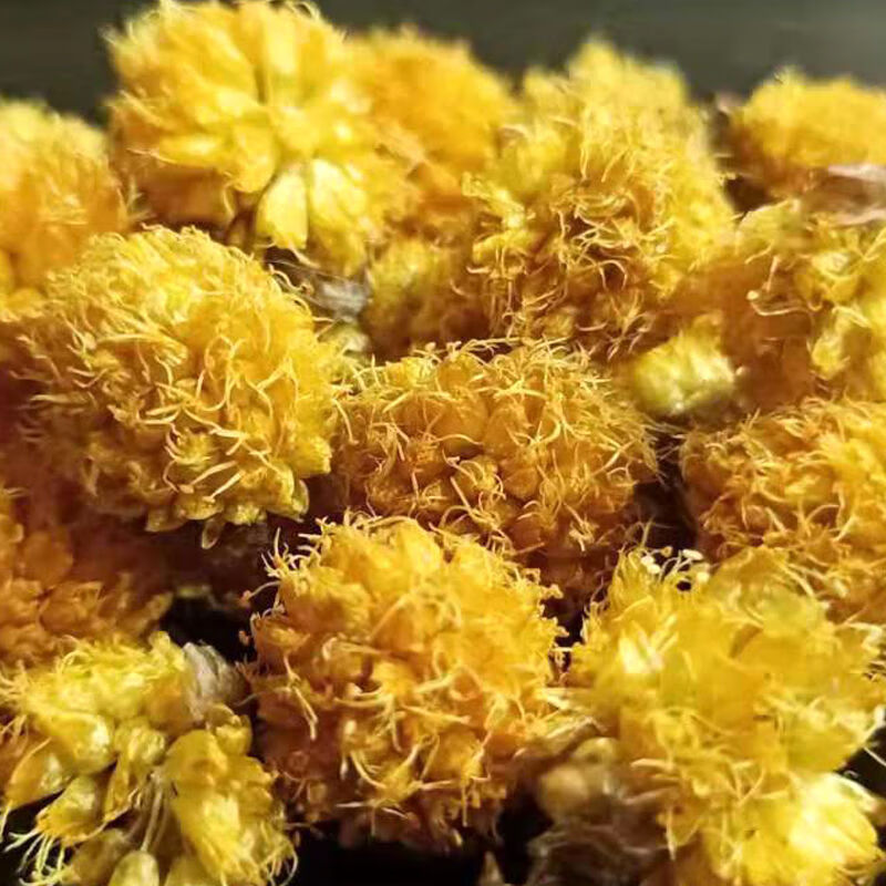 甘肃甘南野葱花黄葱花炝锅浆水面山葱摘麻花扎蒙花野山花石蒜食材 100