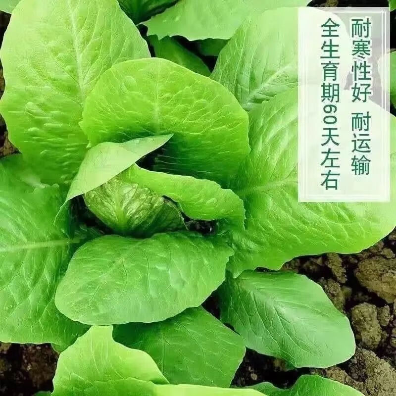 542b71f2cea26d37.jpg