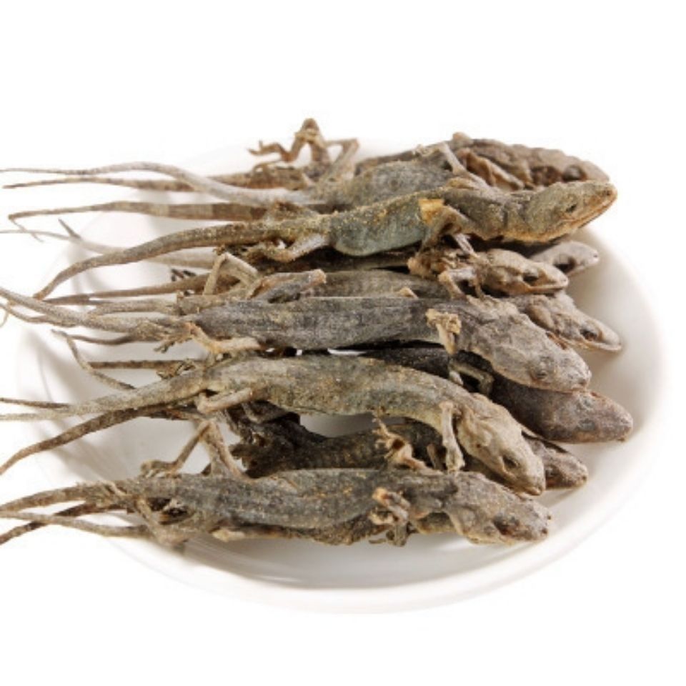 壁虎壁虎天龙国产壁虎干完整足够干可打粉50克 壁虎50克【图片 价格 