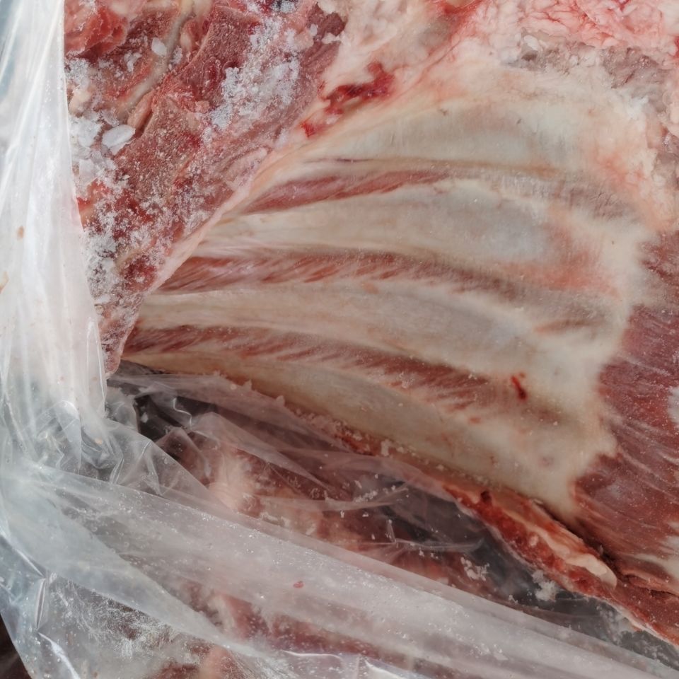 生鲜冷冻猪前排猪排骨猪大排无颈前排可切净重20斤多省江苏浙江安徽