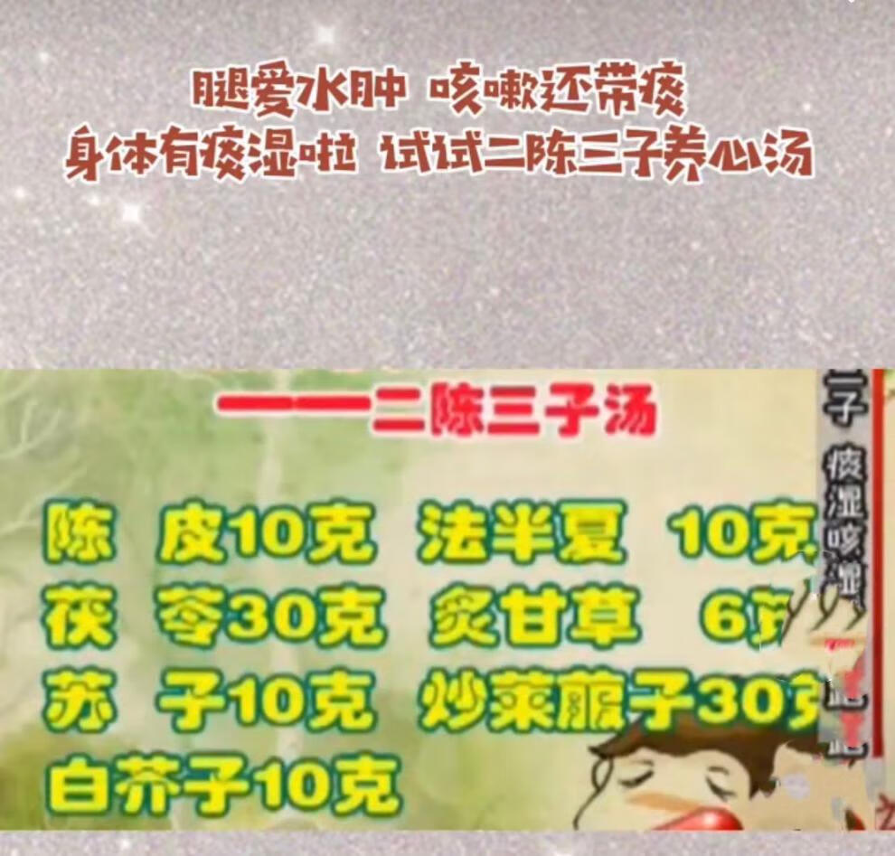 二陈三子养1心汤痰湿体质袋泡茶30包二陈汤三子养亲汤一件