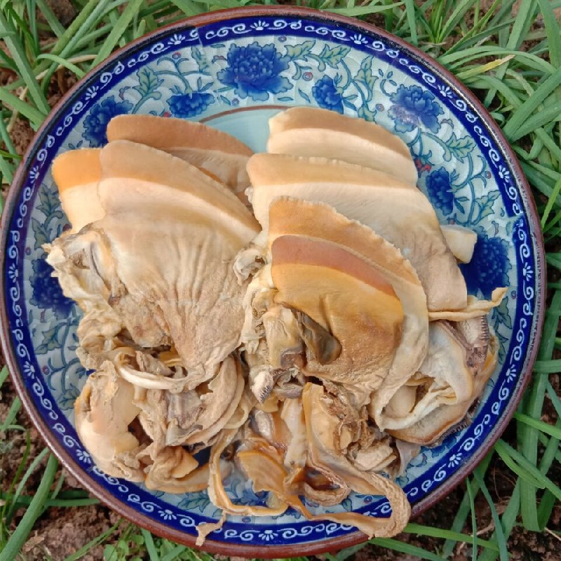 河蚌肉湖南农家大蚌壳肉去壳净肉500g真空包装 490克蚌肉【图片 价格