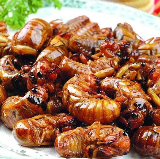 知了猴20100只山东沂蒙特产金蝉知了猴新鲜可油炸即食可熟食用类型