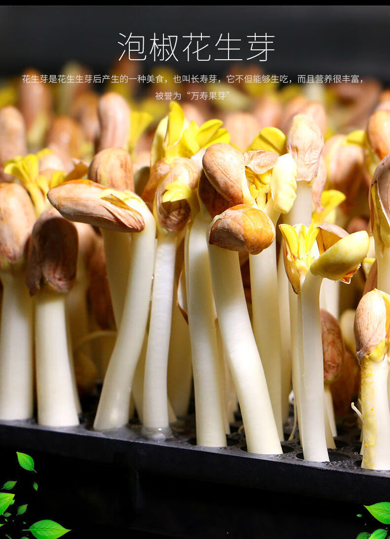 莲润吉泡椒花生芽酸辣嫩花生苗开袋即食佐餐下饭菜2袋400g