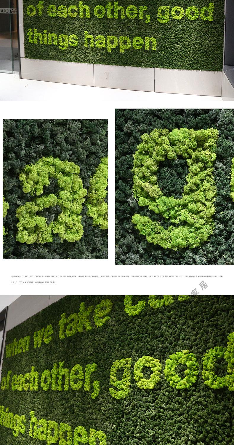 仿真白发苔藓植物绿色植物墙绿植装饰青藓景观造景材料a款500g鹿蕊藓
