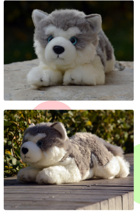 【京选品质】阿拉斯加仿真玩偶 哈士奇毛绒公仔玩具狗阿拉斯加雪橇犬