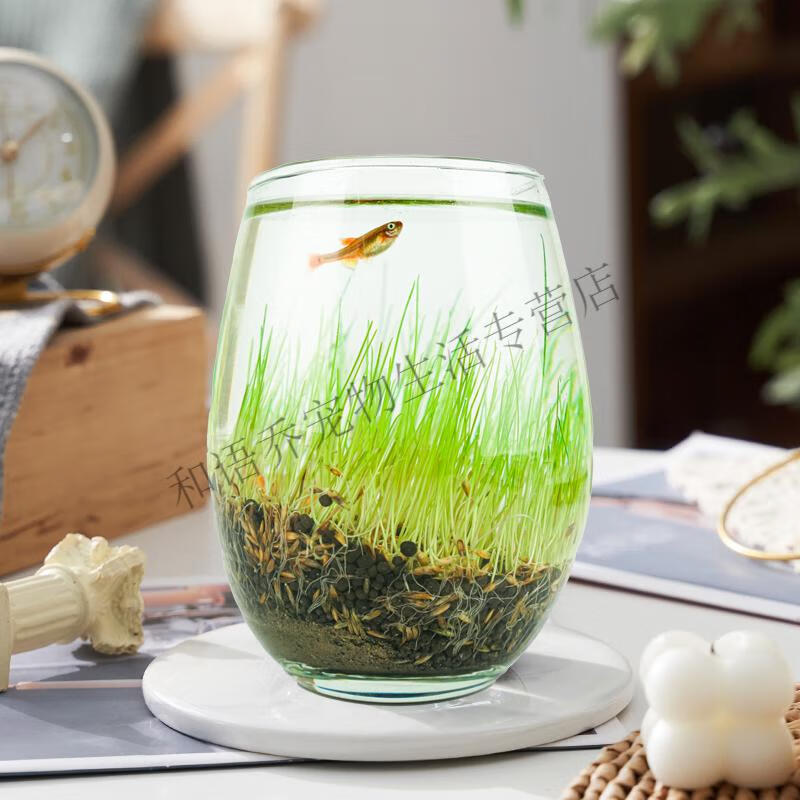 蓝宝(aquablue)网红生态鱼缸小型水草缸造景小鱼缸迷你客厅金鱼缸懒人