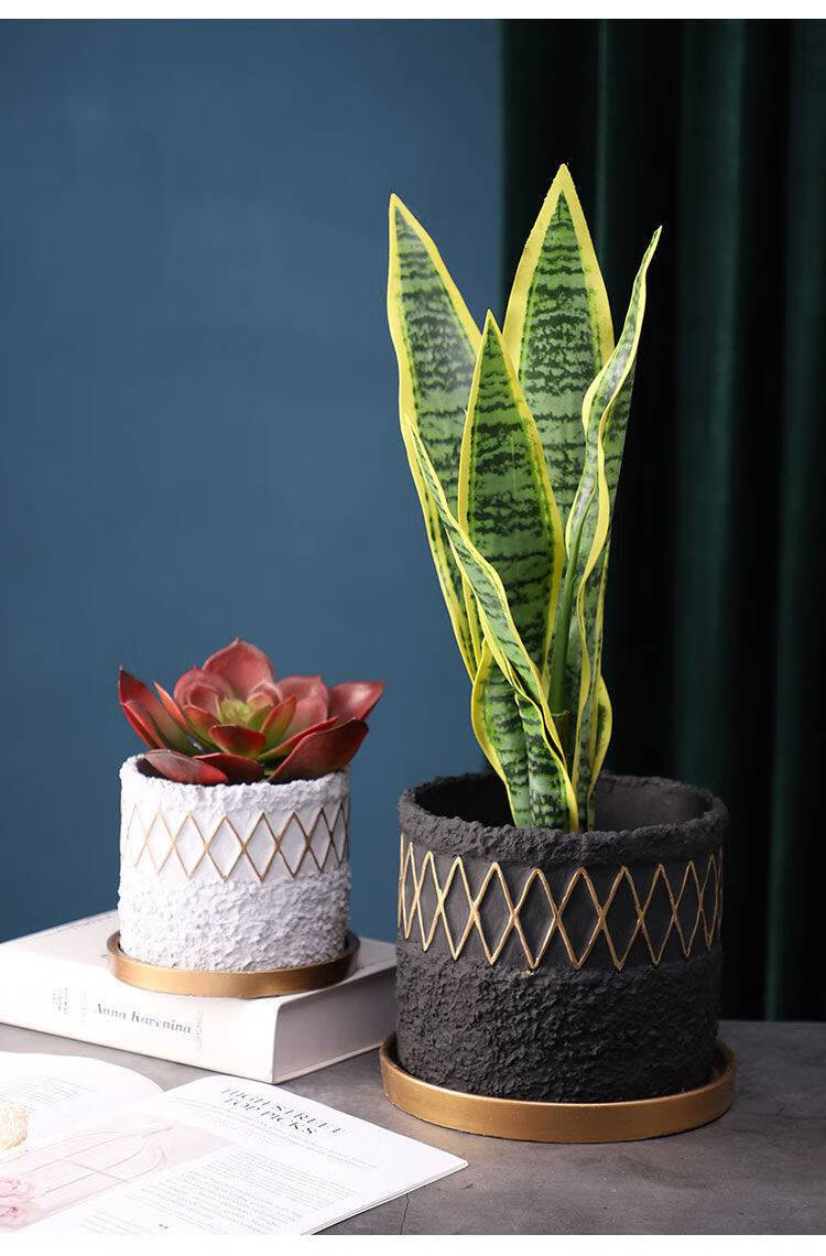 雷帕汀花盆陶瓷创意轻奢欧式水泥花盆家居室内阳台多肉虎皮绿植盆带