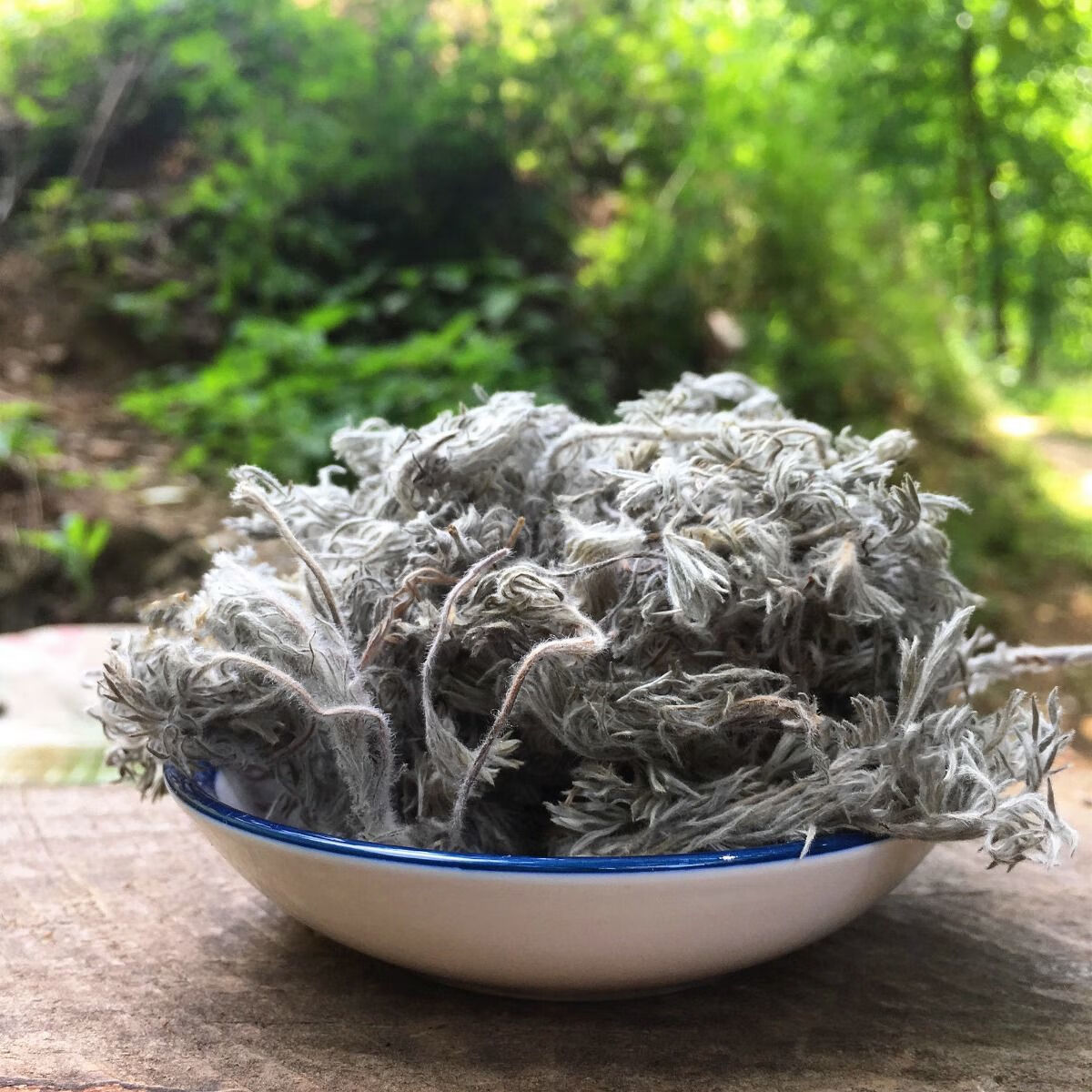 茵陈 茵陈中药茵陈茶正宗陕西秦岭野生茵陈蒿三月采摘绵茵陈茶保肝