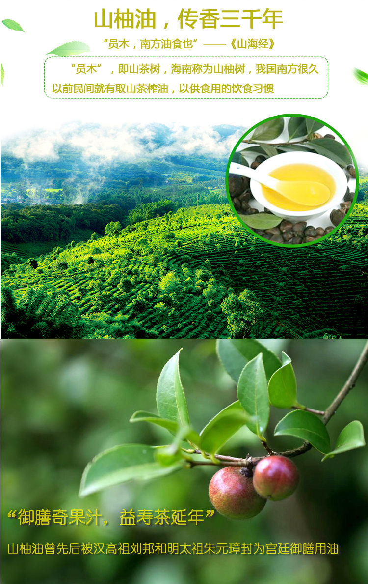 山柚油两瓶礼盒装海南特产山柚油山茶油茶油山茶油250ml双瓶装