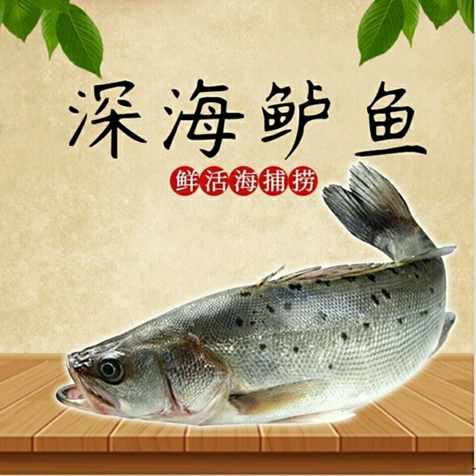 新鲜鲈鱼七星鲈鱼花鲈海鲜1条尝鲜每条1斤无冰衣无水份净重
