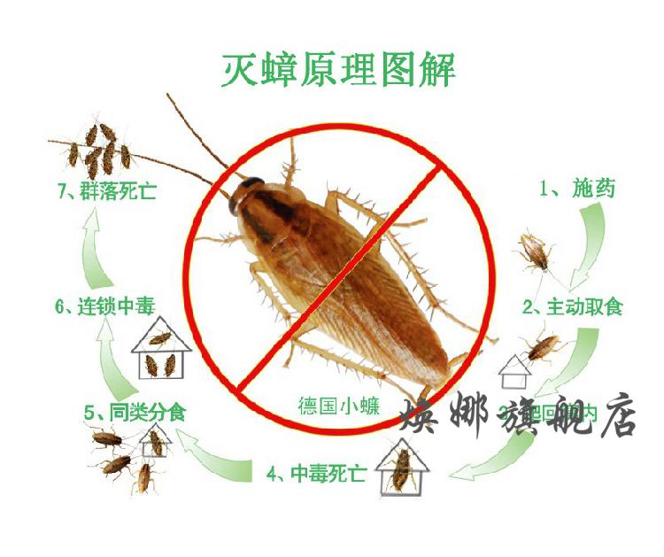 赵师傅蟑螂药好宜净蟑螂药快易净蟑螂药好易净蟑螂一扫光创固尔蟑螂药