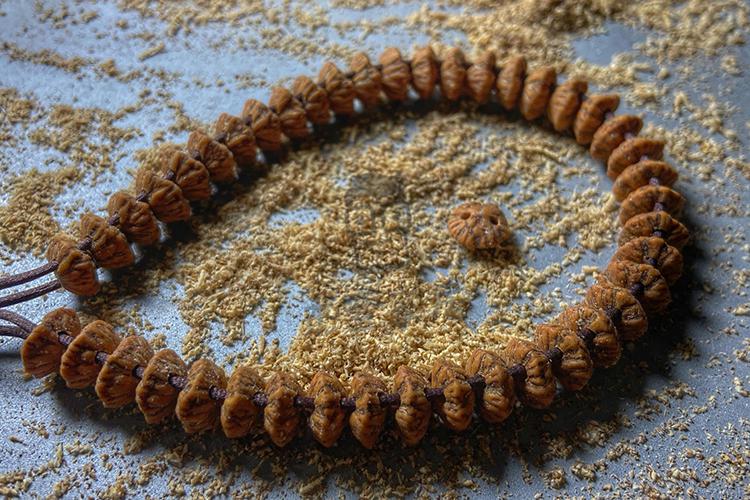 冷门文玩手持九华山金叶莲花菩提手串 金钱子菩提216颗手持冷门小众