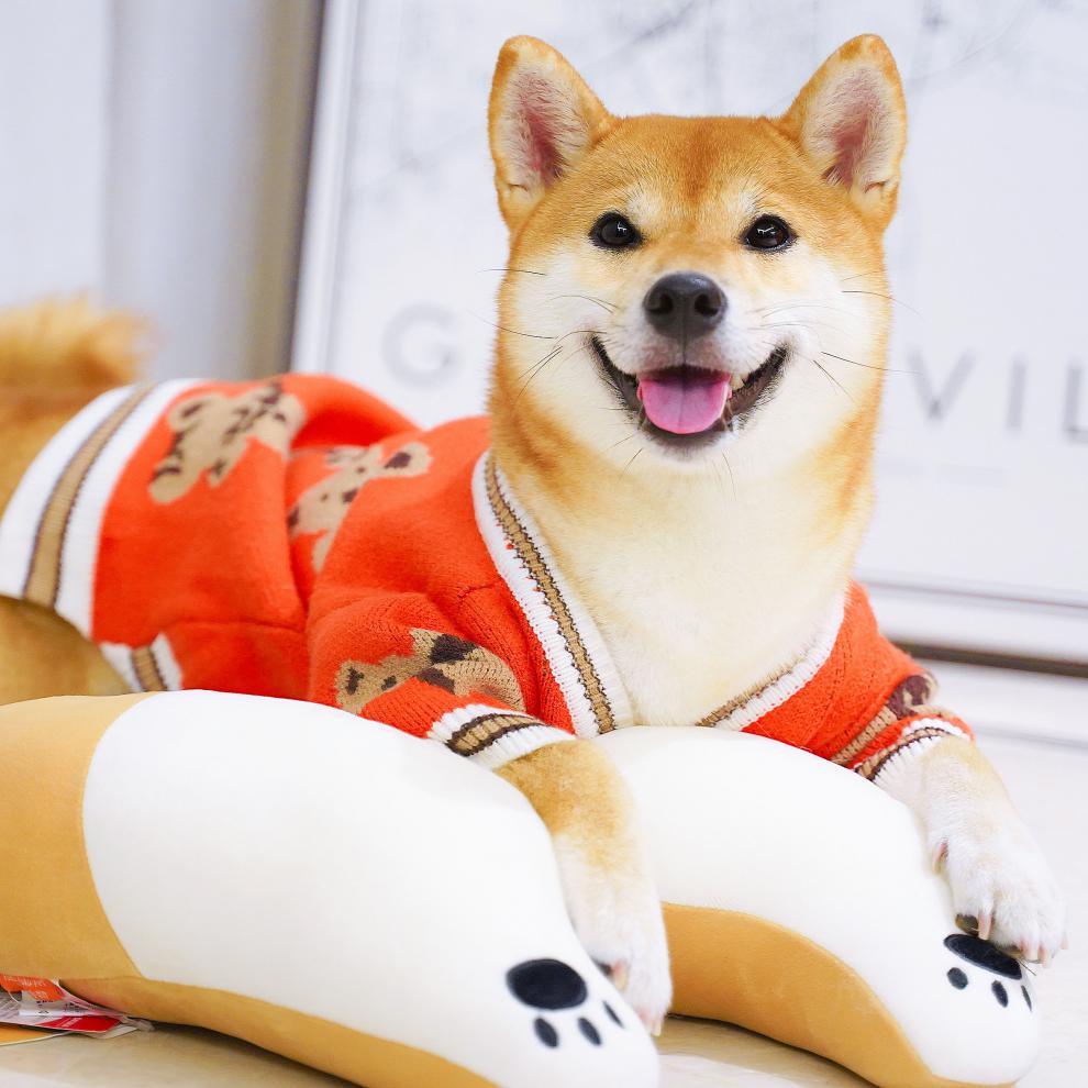 柴犬衣服柴犬毛衣网红狗狗新年可爱衣服秋冬装厚针织开衫保暖喜庆拜年