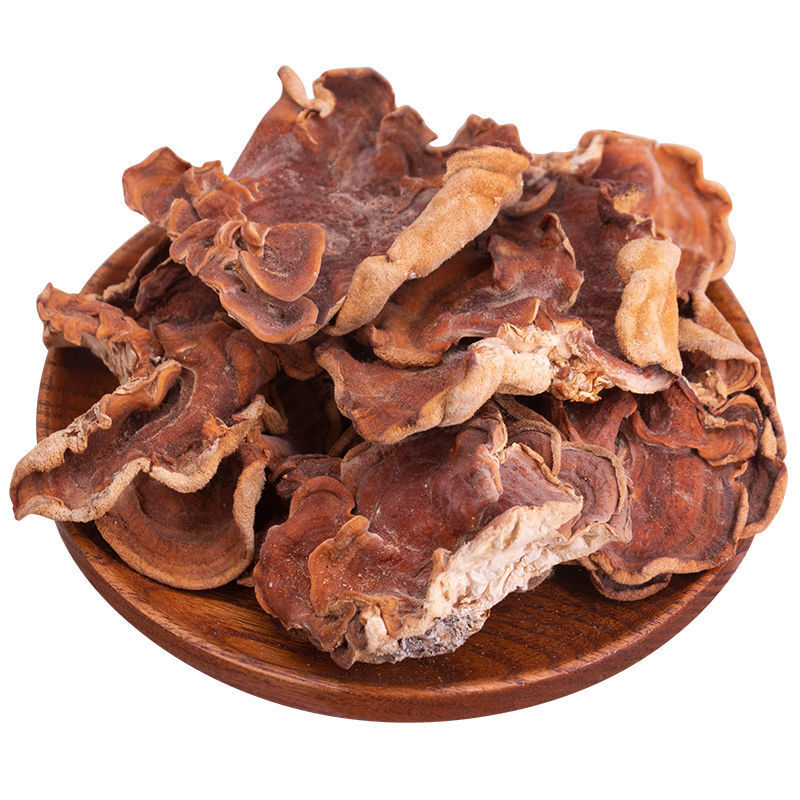 干榆耳菌素食榆耳佛系素食榆菇灵芝菇黄金侧耳榆蘑菇玛卡菌菇干货榆耳