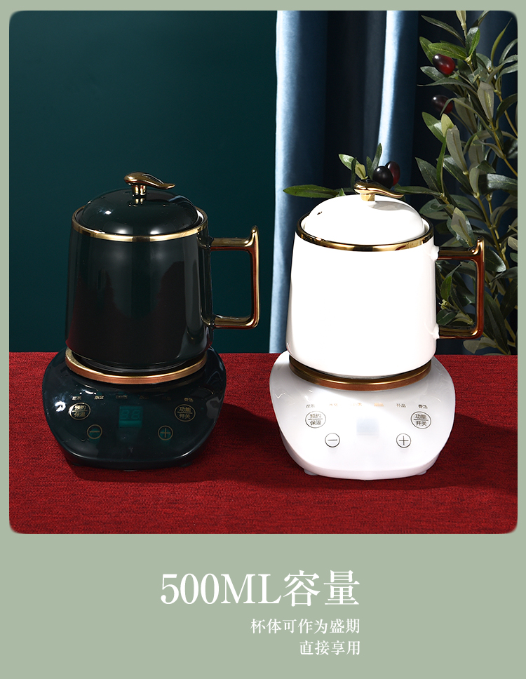 小熊bear同款养生电炖杯多功能办公室一人份煮茶杯迷你礼物炖汤杯热